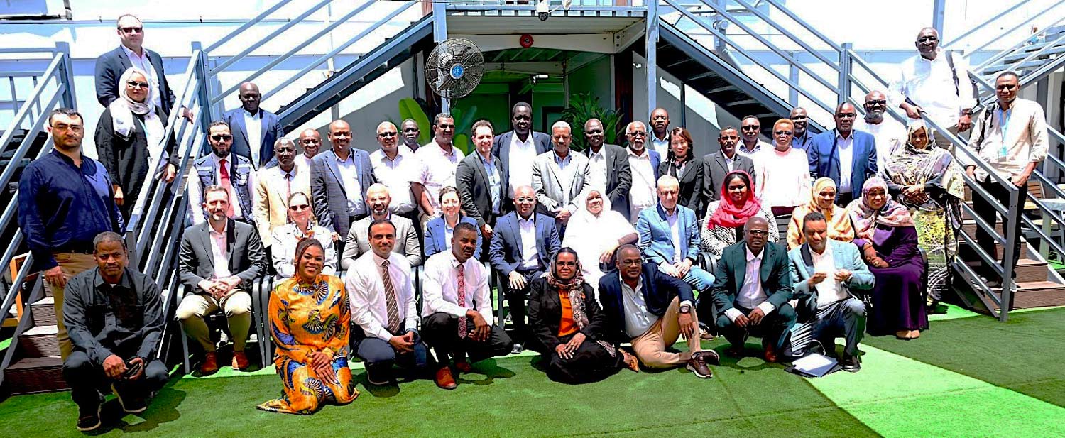 African Development Bank Group and partners push for strengthened project delivery, despite crisis 